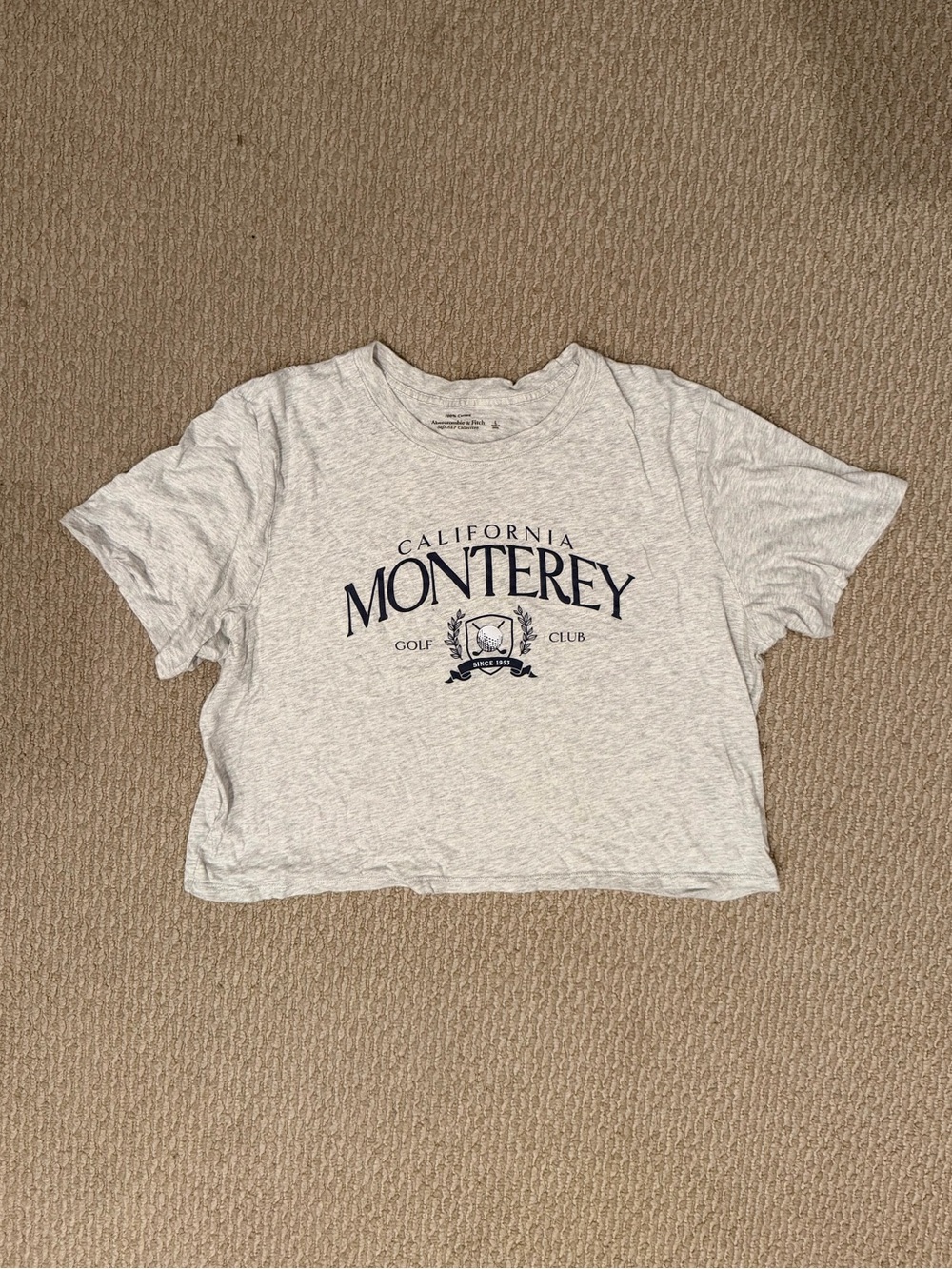 Abercrombie & Fitch Monterey Graphic Tee - Light Gray